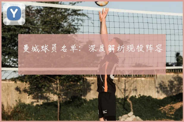 曼城球员名单:深度解析现役阵容