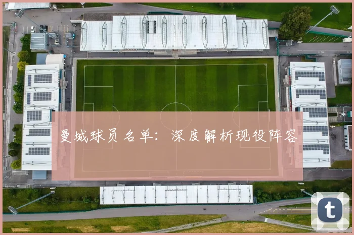 曼城球员名单：深度解析现役阵容